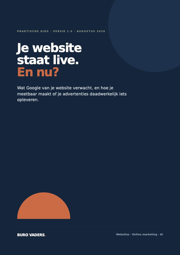 Omslag van de gids Je website staat live. En nu? van Buro Vaders